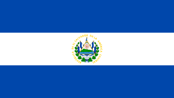 <p> </p>