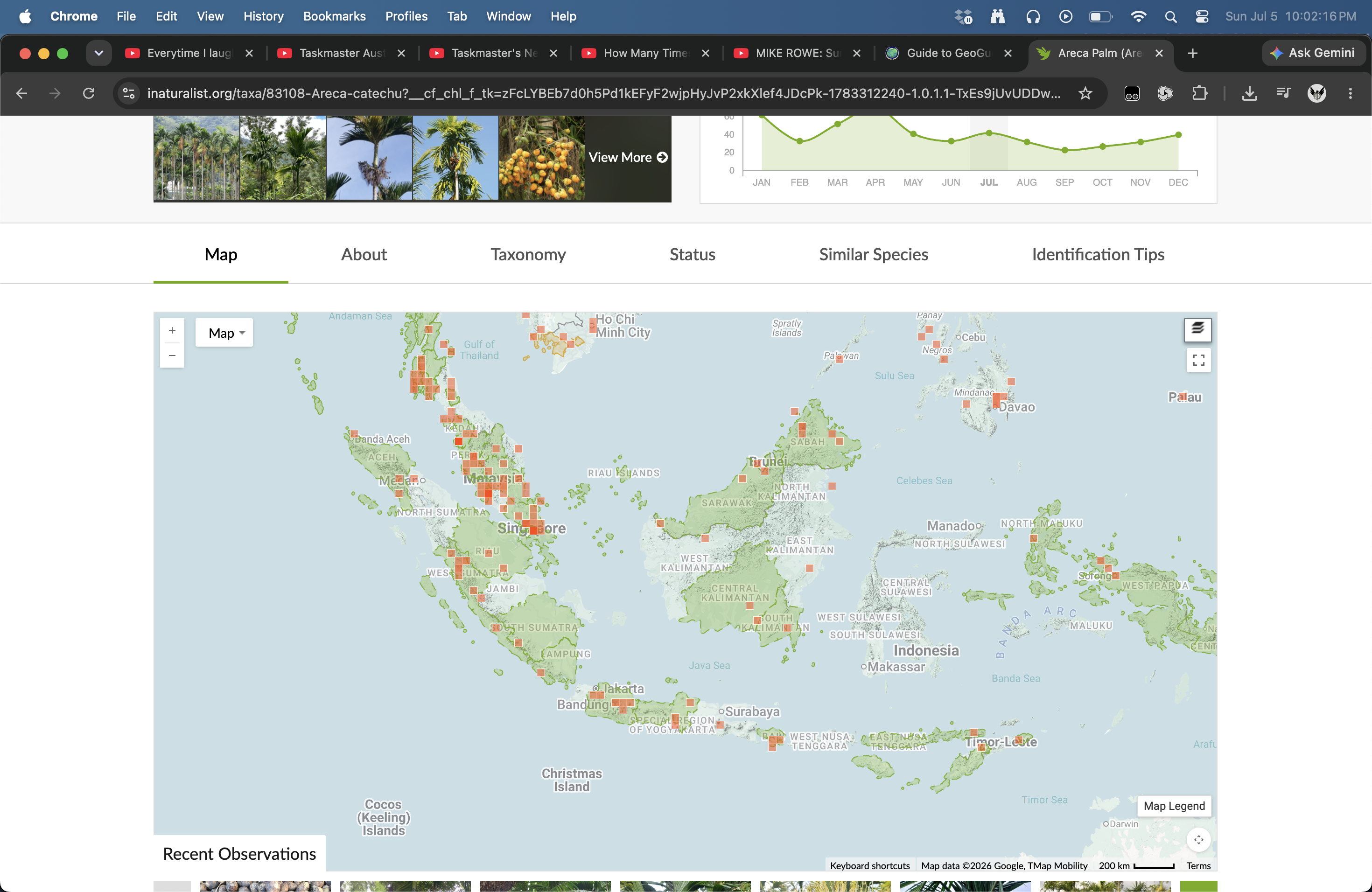 <p>Mostly Sumatra, West Java, South Kalimantan</p>