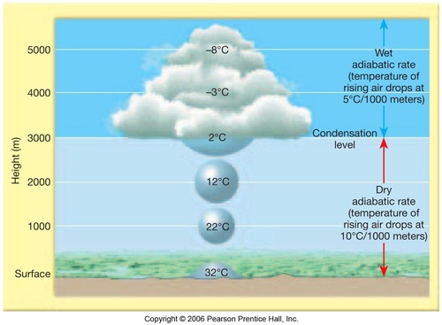 <p><span>Unsaturated air cools at 1°C per 100 meters as it rises.</span></p>