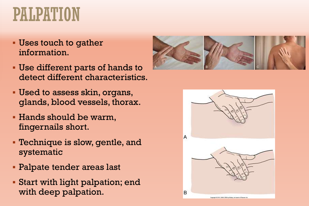 <ul><li><p>Use touch to gather information</p></li><li><p>Use different parts of hands to detect different characteristics</p></li><li><p>Used to assess skin, organs, glands, blood vessels, thorax</p></li><li><p>Hands should be warm, fingernails short, technique is slow, gentle and systematic</p></li><li><p>Palpate tender areas last</p></li><li><p>Start with light palpation; end with deep palpation</p></li></ul><p></p>