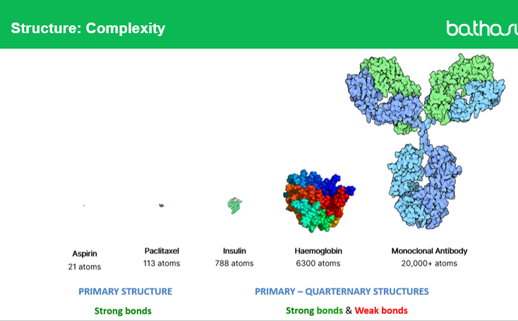 <ul><li><p><strong>Primary structures</strong> (like aspirin or paclitaxel) are <strong>small molecules</strong> with <strong>strong covalent bonds</strong>, giving a simple and stable structure.</p></li><li><p><strong>Higher-order structures</strong> (secondary, tertiary, quaternary) exist in <strong>large biologics</strong>, such as hemoglobin or monoclonal antibodies, and are held together by a mix of <strong>strong covalent and weaker non-covalent bonds</strong> (hydrogen bonds, van der Waals forces, ionic interactions).</p></li></ul><p></p>