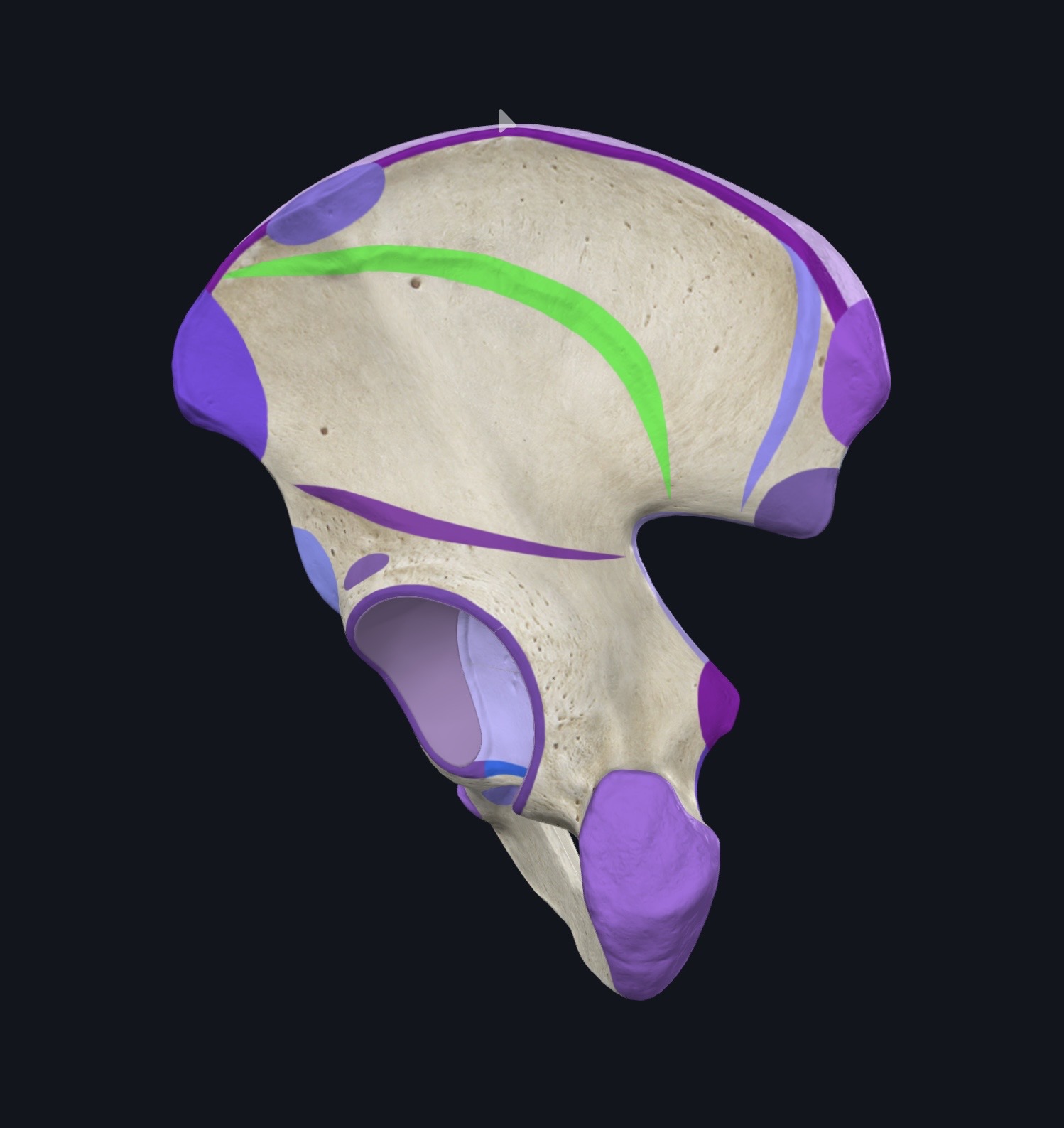 <p>¿Qué es esto?</p>