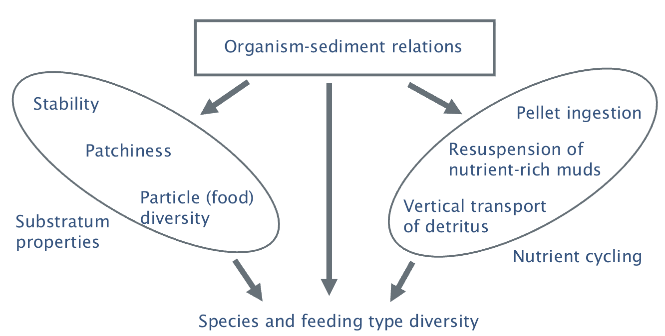 <p>A community must be composed of species which<strong> interact with each other<br>and the environment and a communit</strong>y has,=></p><p> therefore, <u>an ecological basis (gray viewpoint)</u></p>