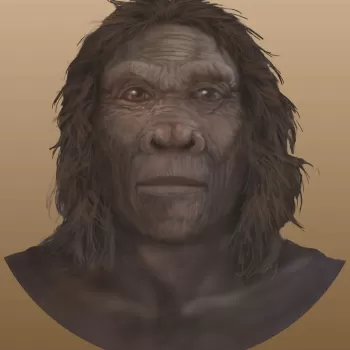 <p>the name means “handy man”. the first members of our genus, homo. larger brains, widespread tools. paleolithic art emerged during this era</p>