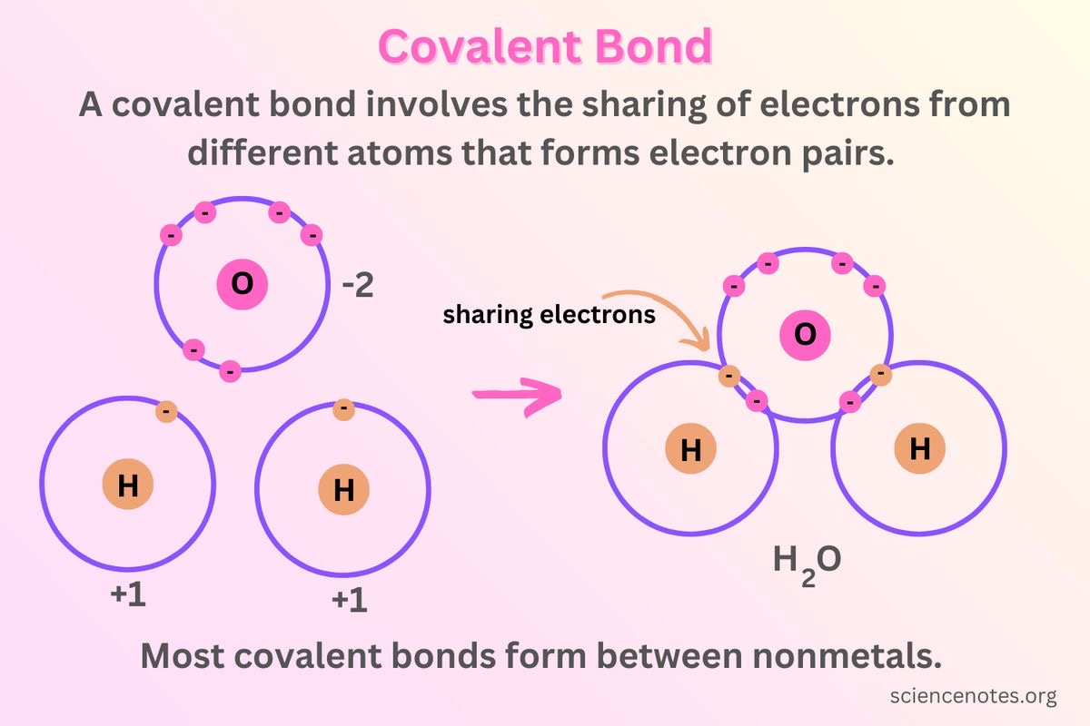 <p>A bond in which atoms are joined by sharing electrons; examples include glycosidic, ester, and peptide bonds.</p>