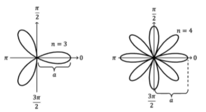 <p>Special Polar Graphs of Rose Curve</p>