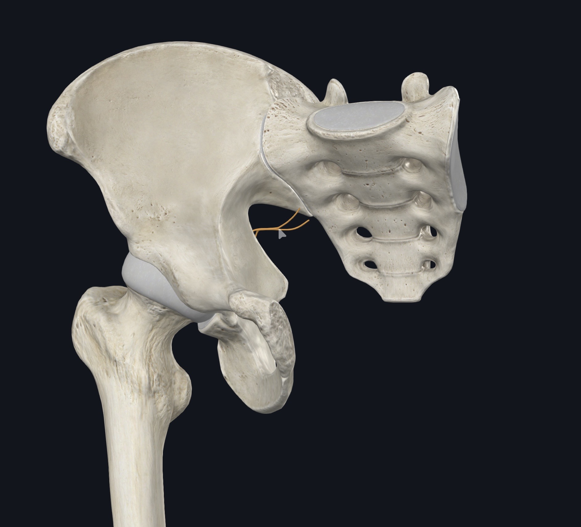 <p>¿Qué es esto?</p>