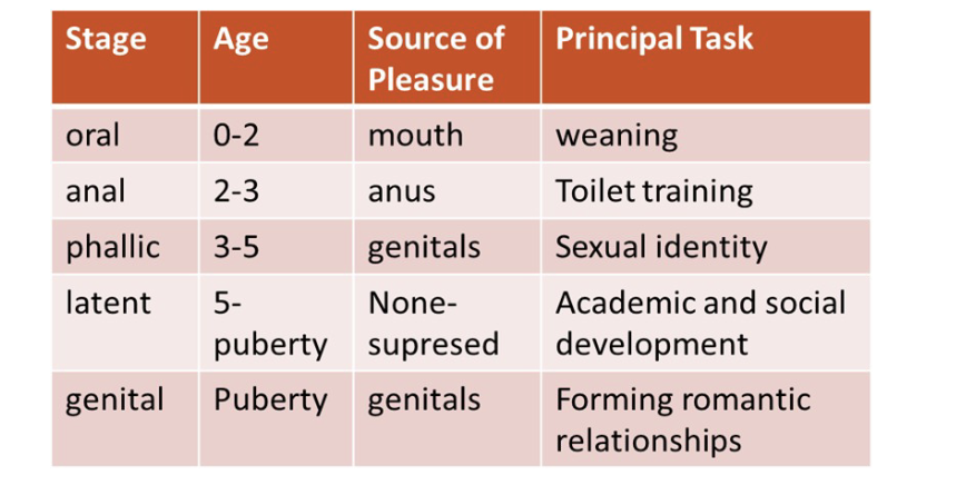 <p>what are the stages of Freuds theory of personality development?</p>
