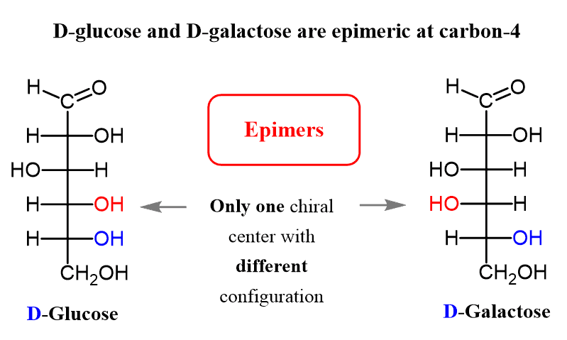 <p>An epimer is a stereoisomer that differs in configuration at only one specific chiral center</p>
