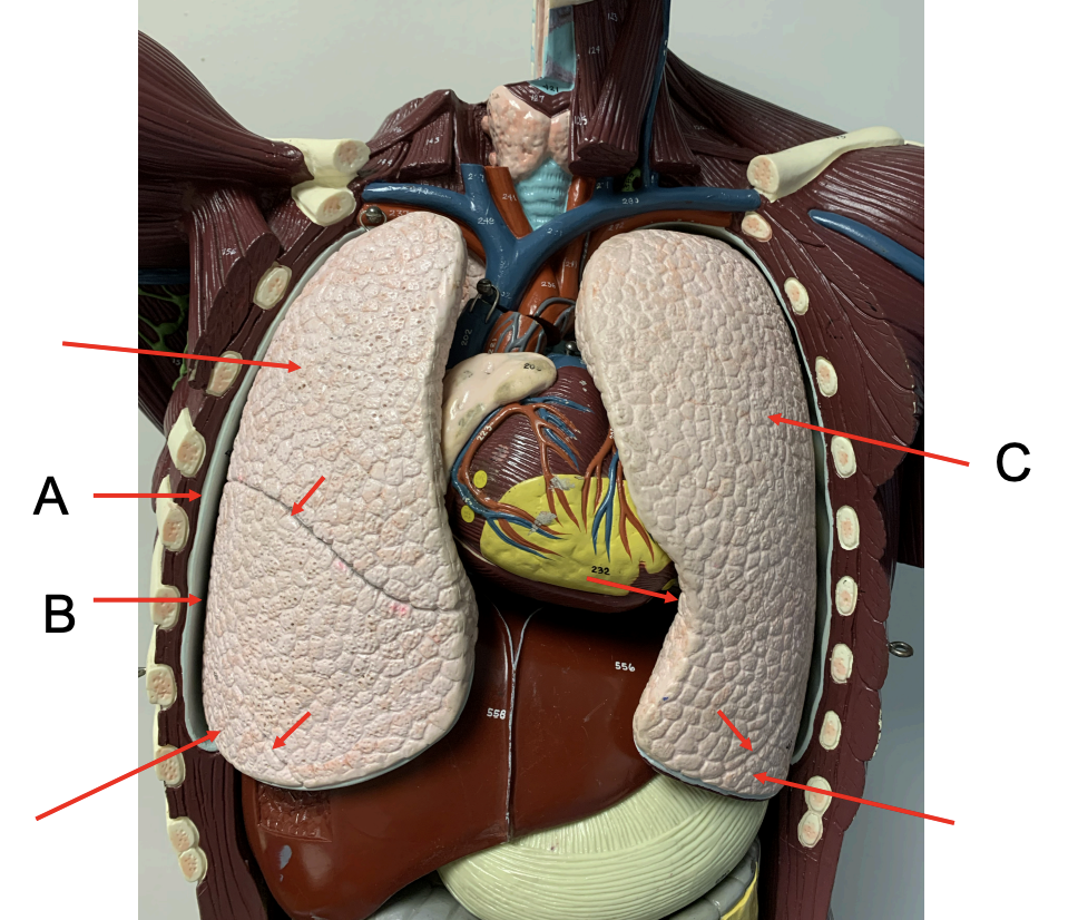 <p>what space is B?</p>