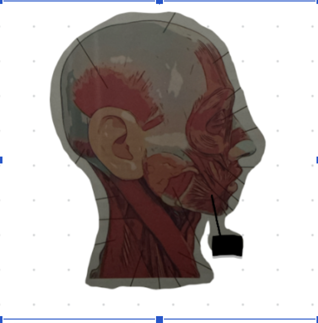 term image