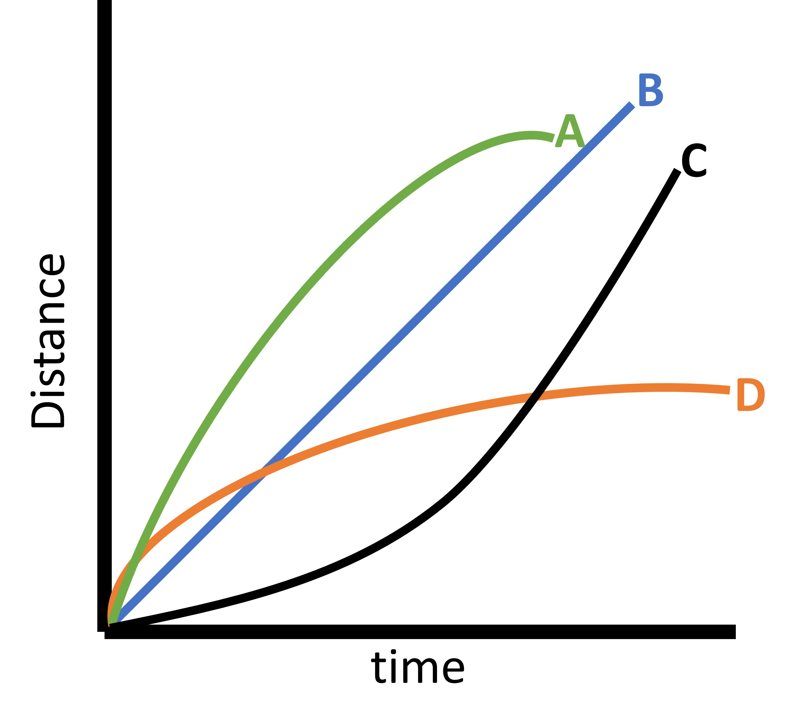 <p><br>Which line on the graph shows negative acceleration?</p>