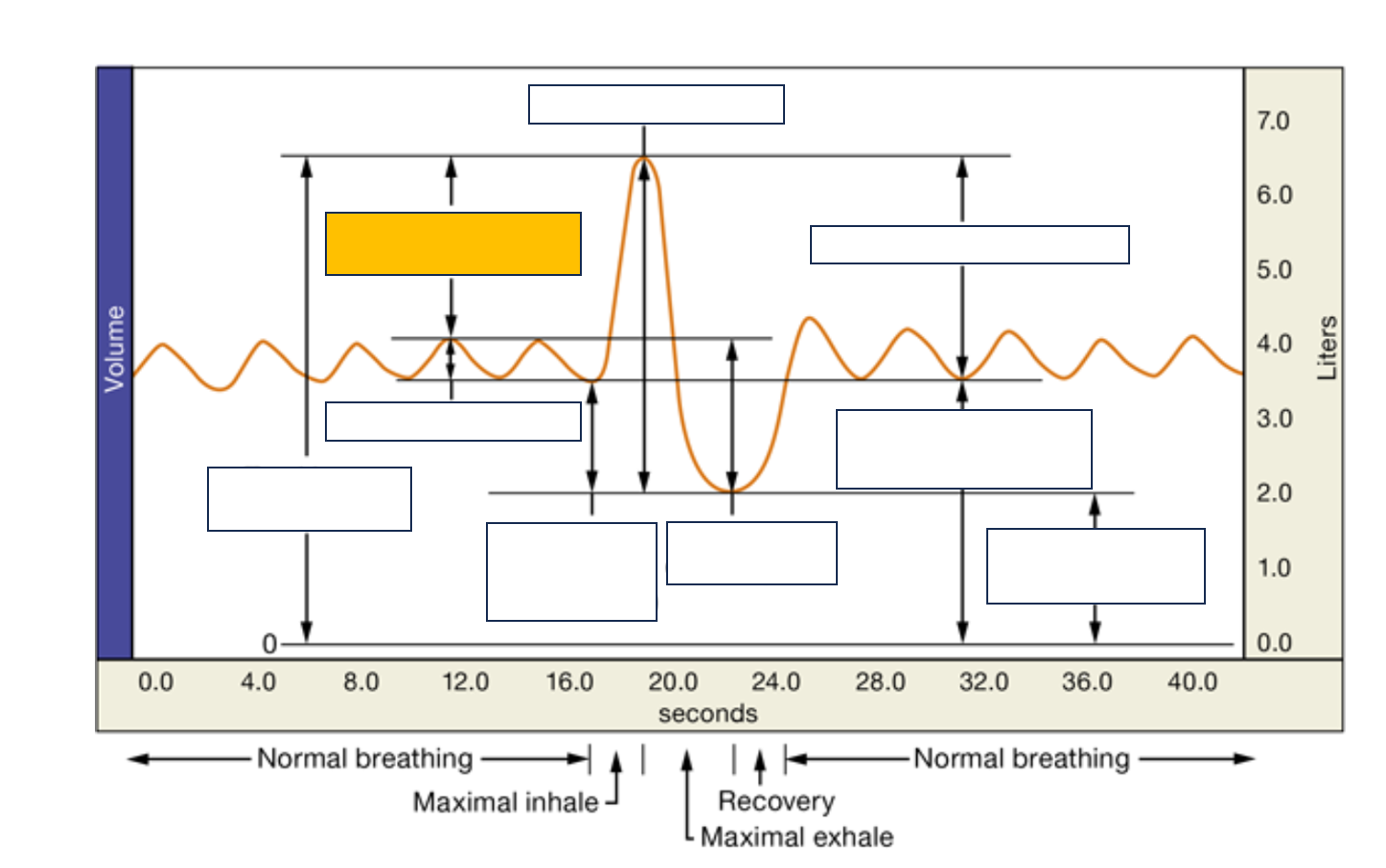 <p>name and def.</p>