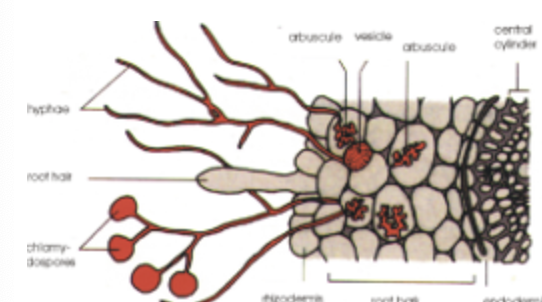 <p>What is this a diagram of? </p>