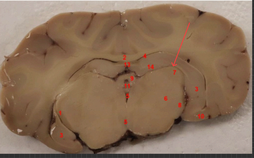 <p>what is this </p>