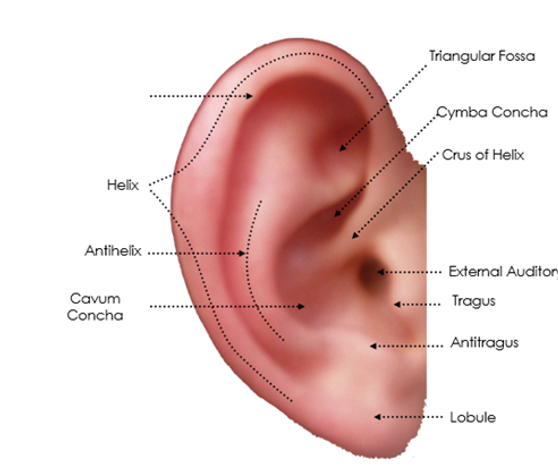 <p>label missing part </p>