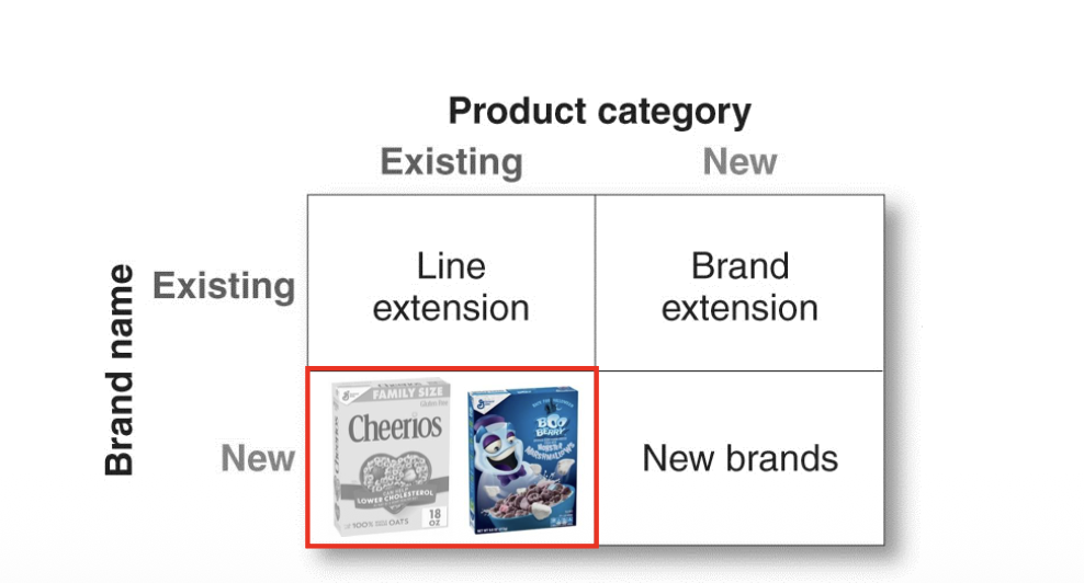 <p>offering many different brands in each exisiting product category</p><p>ex: general Mills the BRAND sells both cheeriors and berry cereal</p>