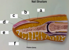 <p>What is b pointing to?</p>