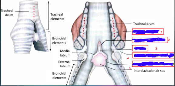 <p>What is the part labeled number 5</p>