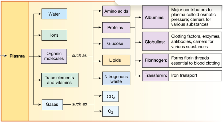 <p>Plasma proteins participate in many functions, including blood clotting and defense against foreign invaders. In addition, they act as carriers for steroid hormones, cholesterol, drugs, and certain ions such as iron. Finally, some plasma proteins act as hormones or as extracellular enzymes</p><p></p><p>ex in pictures</p>