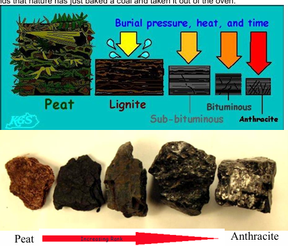 <p>with the lifting and subsiding of oceans and land masses (plate tectonics), the peat was buried underground resulting in immense heat/pressure which reduced oxygen levels in organic matter which formed <strong>anthracite (black coal)</strong></p>
