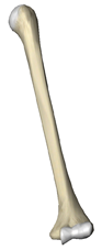 <p>right or left?</p>