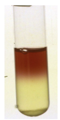 <p>VP test</p>