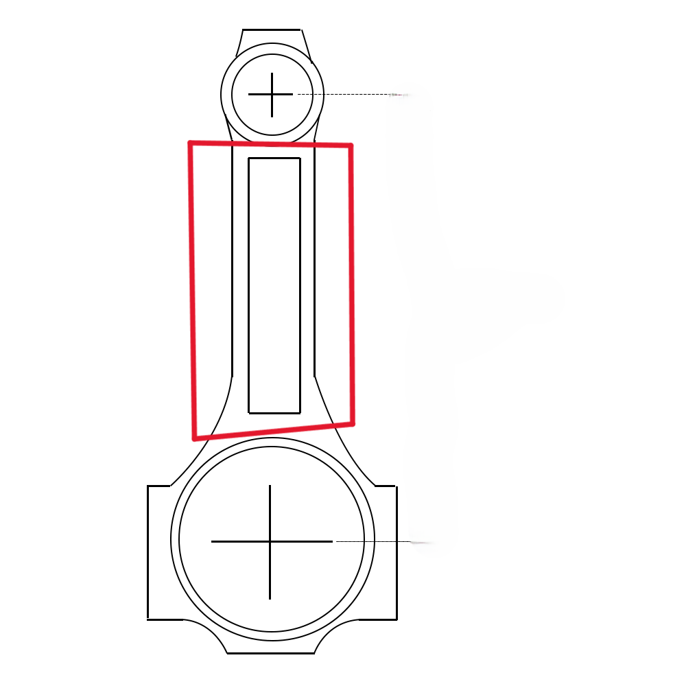<p>(Extra)</p><p>What is this area called? What is the purpose?</p>