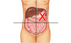 <p>stomach, liver (left lobe), pancreas (body), left kidney, left adrenal gland, splenic flexure, spleen, part of transverse and descending colon</p>