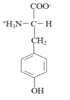 <p>name the following amino acid</p>