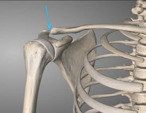 <p>What is this joint?</p>