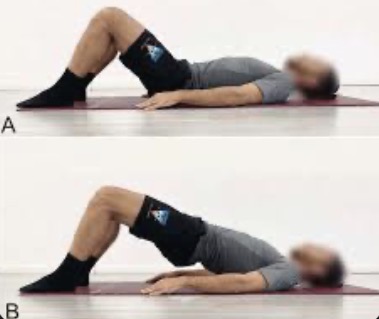 <p>Bridge target muscle</p>