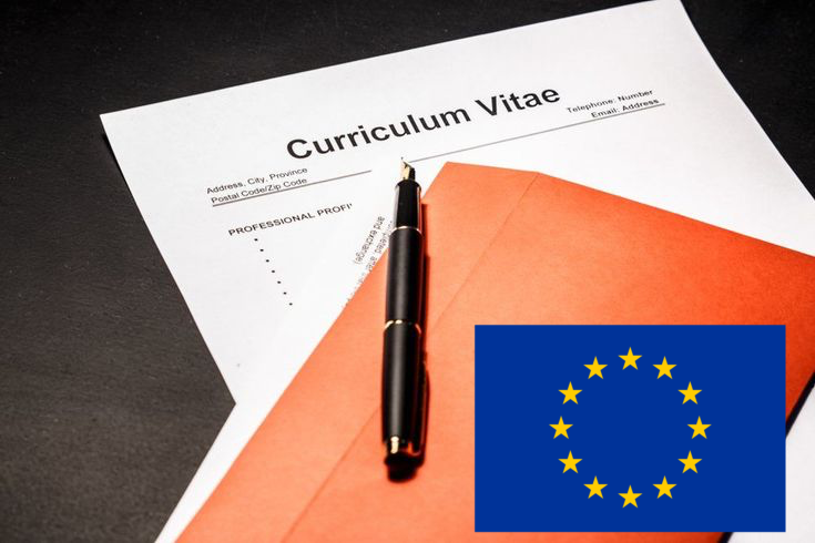 <p>CV / curriculum vitae </p>