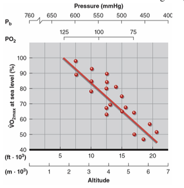 <p>VO₂max decreases as altitude increases above about 1,500 m, when atmospheric PO₂ falls below ~131 mmHg. This decline is mainly due to reduced arterial PO₂ and lower maximal cardiac output (Q̇max).</p><p>VO₂max typically drops by about 8–11% per 1,000 m of ascent, significantly limiting aerobic performance.</p><p>Evidence from a 1981 Mt. Everest expedition study showed VO₂max falling from 62 to 15 ml/kg/min at extreme altitude. Individuals with a sea-level VO₂max below about 50 ml/kg/min would not be able to climb such extreme altitudes without supplemental oxygen.</p>