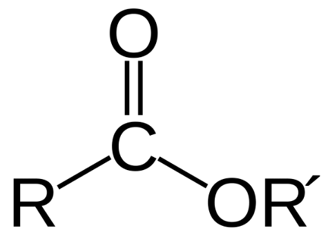 <p>a carbonyl group (C=O) with an additional -OR', commonly found in flavors and scents</p>