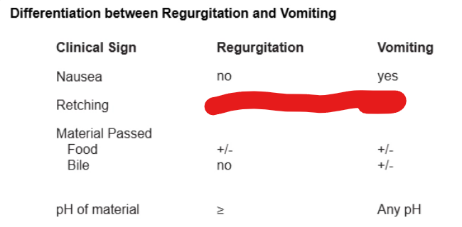 <p>answer (Megaesophagus)</p>