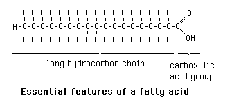 <p>Long hydrocarbon chains that terminate with CA groups </p><ul><li><p>Vary in length and degree of saturation (= affect physical properties) </p></li><li><p>Hydrocarbon chain = largely hydrophobic </p></li><li><p>CA group: ionizable (can act as an acid and shed a hydrogen ion into the surrounding liquid) → leads to be shown in COO- form </p></li></ul><p></p>