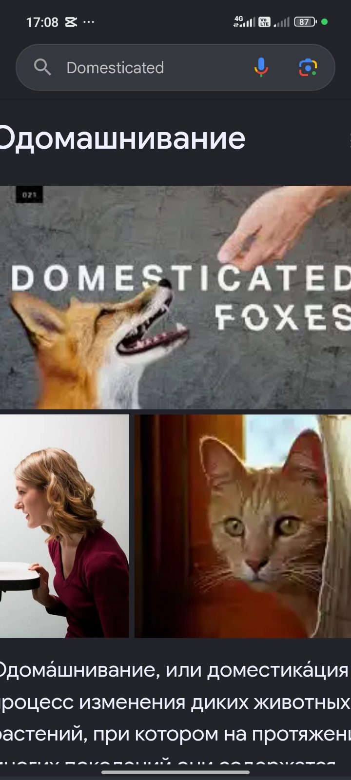 <p>Қолға үйретілген </p><p class="has-focus">domesticated animals </p>