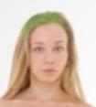 <p>Cranial</p>