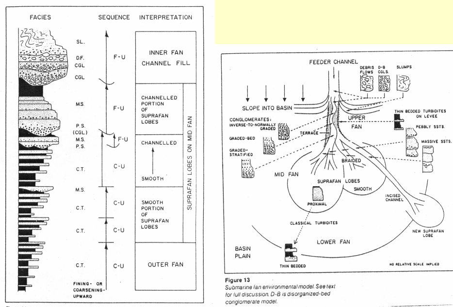 <p>Suprafan lobes prograde similarly to a delta. An upward coarsening sequence is present, but lobe switching is difficult to define (unlike a delta)</p><p>upward fining packages occur in fan channels due to lateral accretion</p>