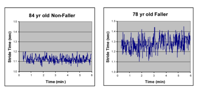 <p>In general, with aging we see:</p><ul><li><p>Decrease in gait speed</p></li><li><p>Decrease in step length </p></li><li><p>Increase in step time </p></li><li><p>Increase in variability in these parameters </p></li></ul><p>However, healthy older adults may have little to no change </p><p>Reduced EF may be an important driver of these changes </p><p></p>