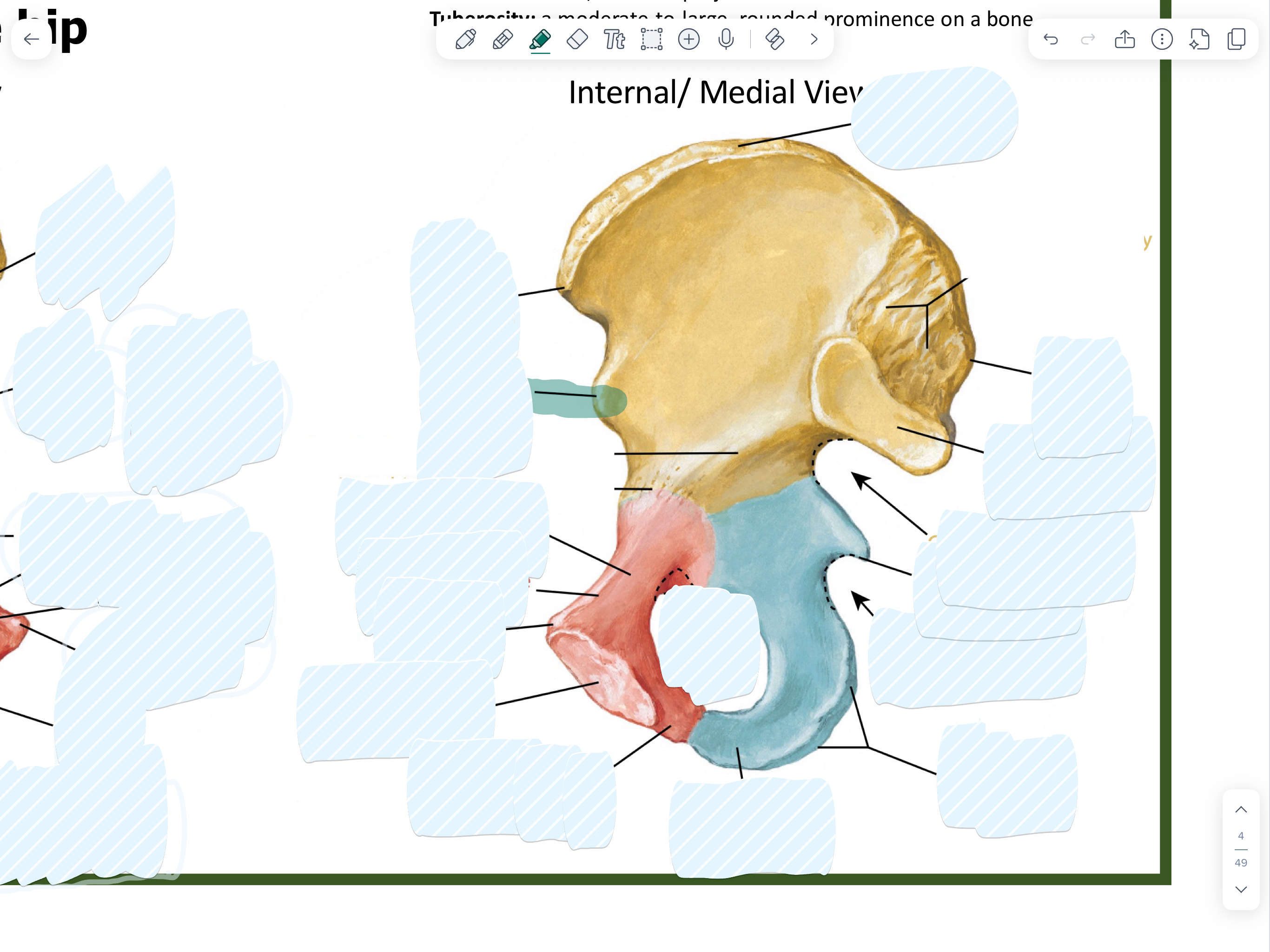 knowt flashcard image