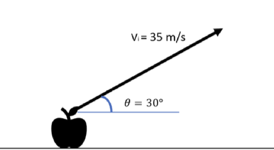 <p>Consider an apple launched with an initial velocity of 35 m/s at an angle of 30<sup>o</sup> above the horizontal, as shown in the picture.</p><p>a) What is a<sub>y</sub>?</p><p>b) What is a<sub>x</sub>?</p><p>c) What is v<sub>ix</sub>?</p><p>d) What is v<sub>iy</sub>?</p><p>e) What is the apple’s maximum height above the ground?</p><p>f) How long does it take the apple to get to its maximum height?</p><p>g) How long does it take the apple to get to ½ of its maximum height?</p>