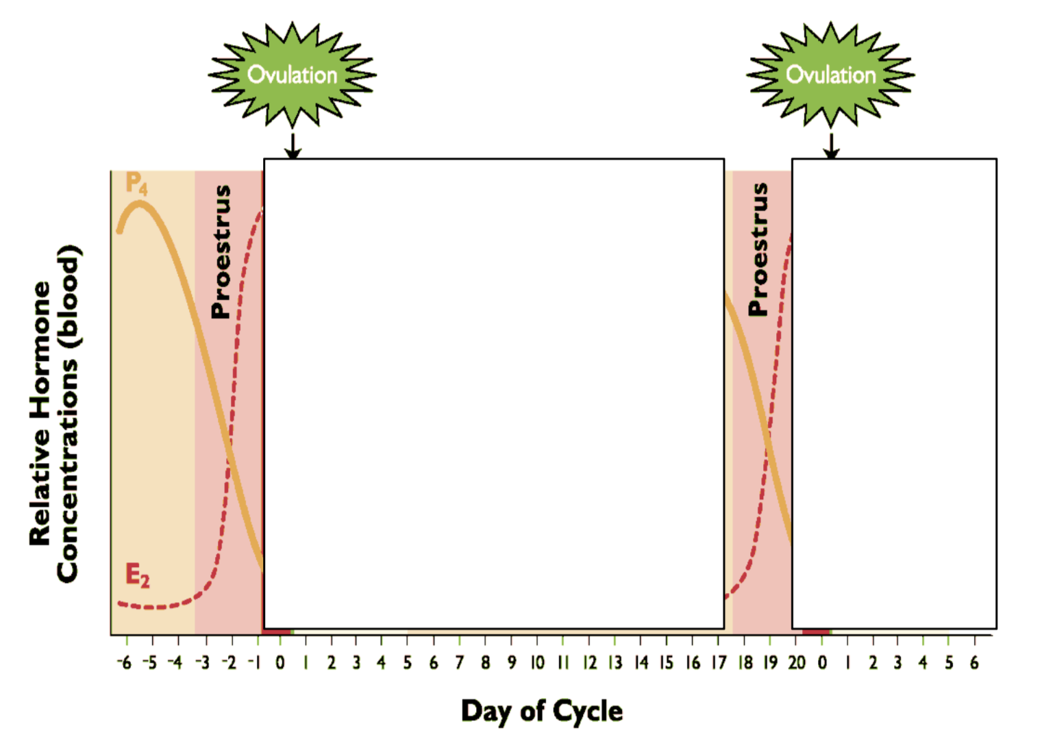 <p>Increasing E2 - follicles growing</p><p>Decreasing P4 - CL regressing</p><p>Transition stage </p>