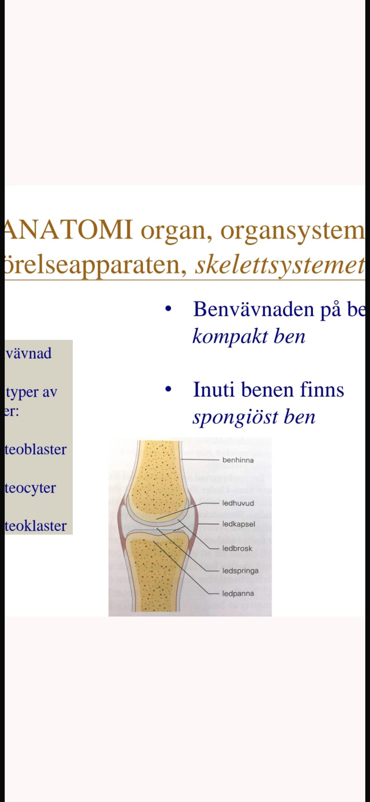 knowt flashcard image