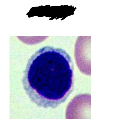 <p>identify the slide</p>