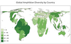 <p>A type of thematic map that transforms space such that the political unit with the greatest value for some type of data is represented by the largest relative area.</p>
