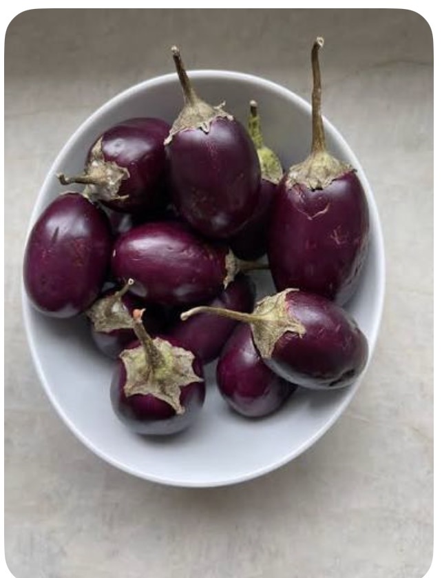 <p>Indian eggplant</p>