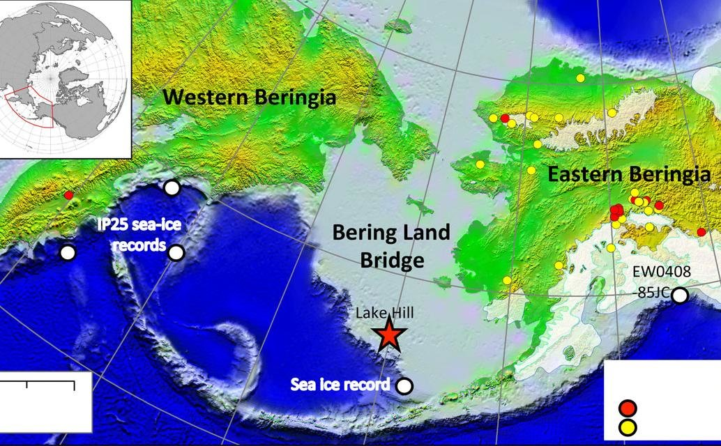 term image