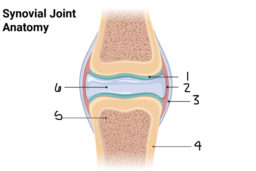<p>1</p>